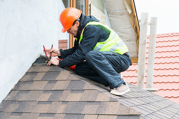 Best Roof Maintenance Services  in Sanborn, NY